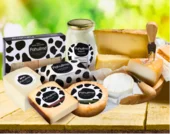 tour-adulto-mayor-degustación-quesos