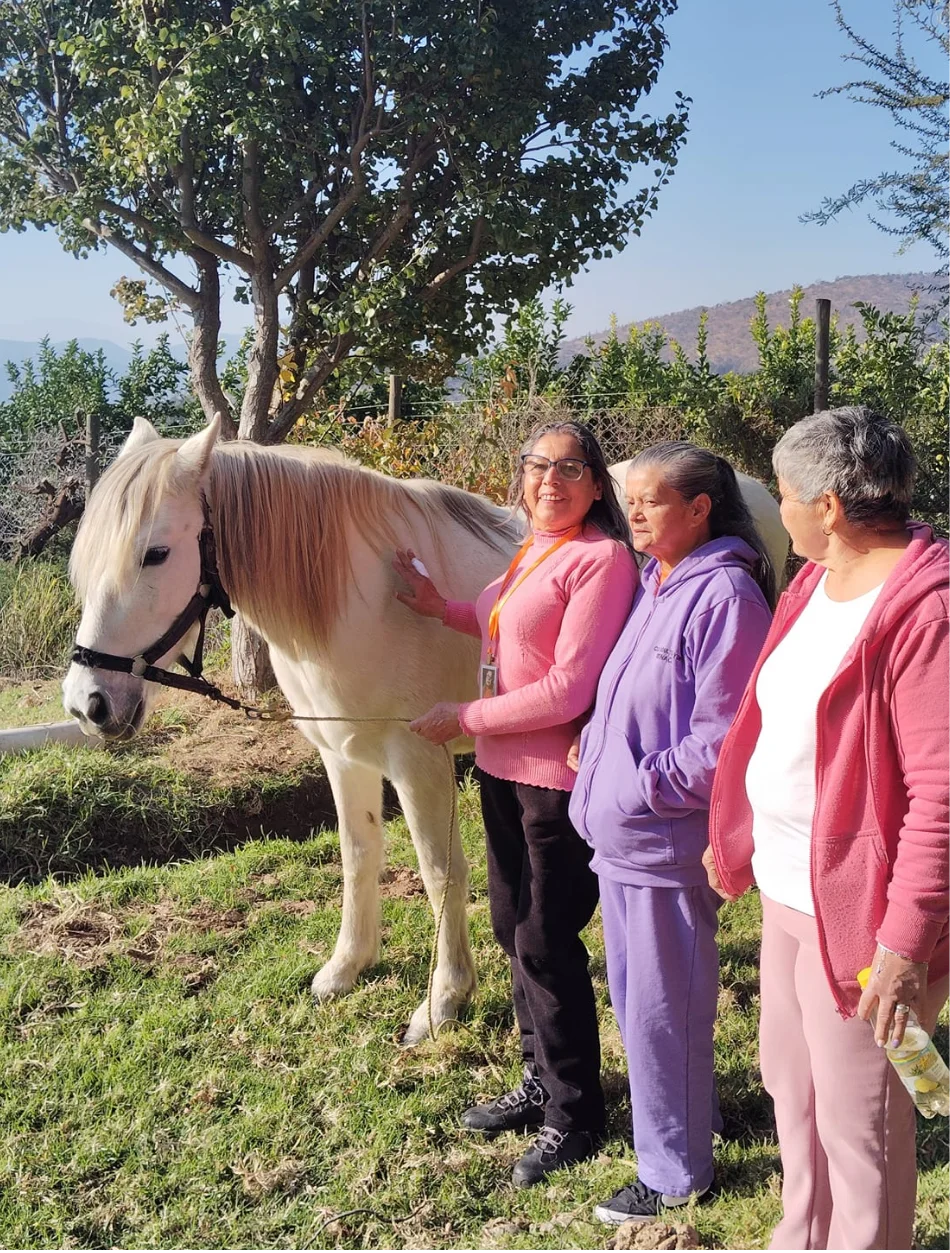 paseos-a-caballo-para-adultos-mayores
