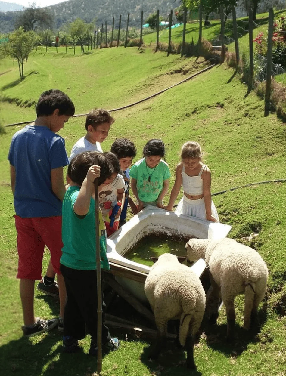 arriendo-de-parcelas-con-piscina