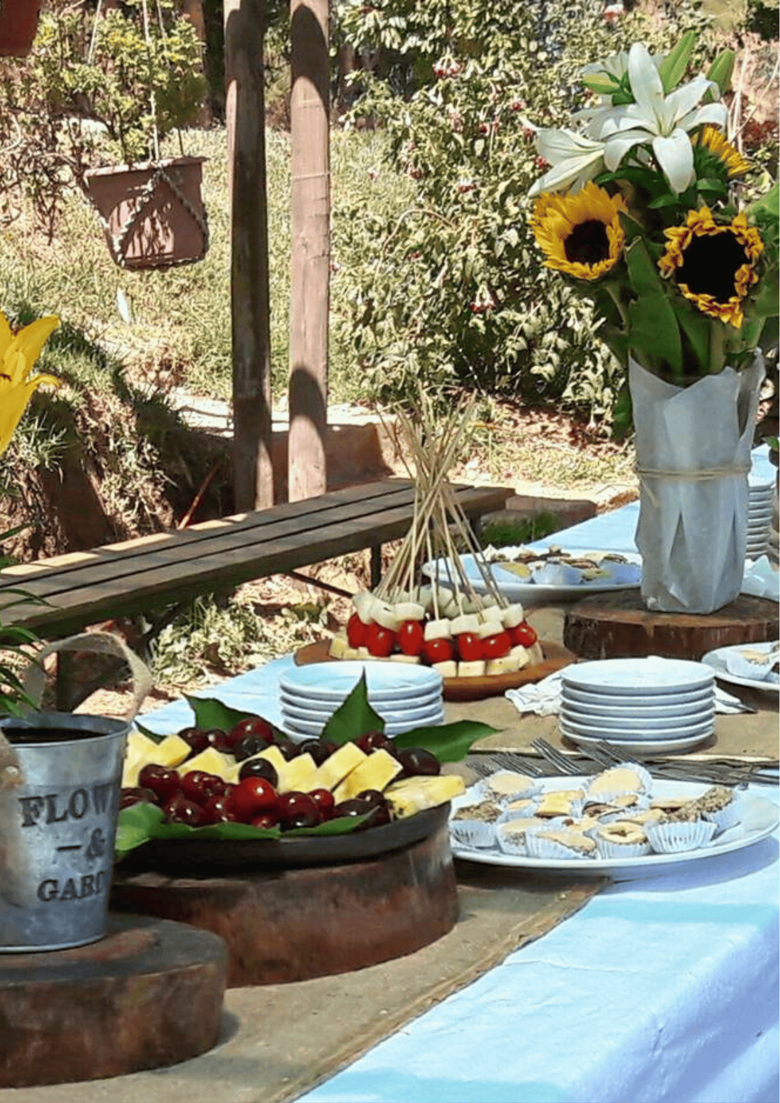 actividades-para-adultos-mayores